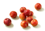 Aprikose