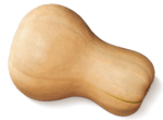 Butternut Kürbis