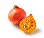 Hokkaido Kürbis