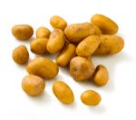 Kartoffeln, festkochend