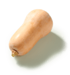 Butternut Kürbis