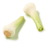 Frische Knoblauchzehen