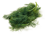 Dill
