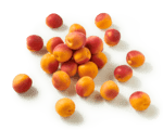 Aprikose