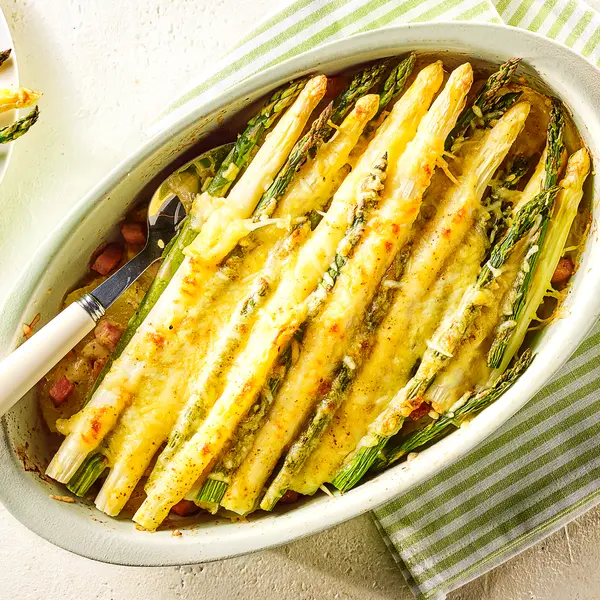 Spargel-Gratin